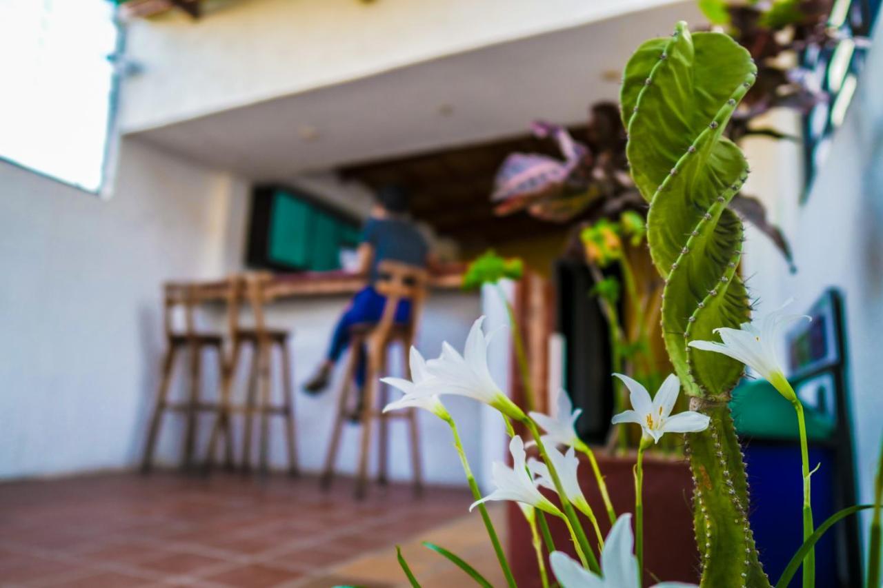 Aluna Hostel B&B Santa Marta (Magdalena) Exterior photo